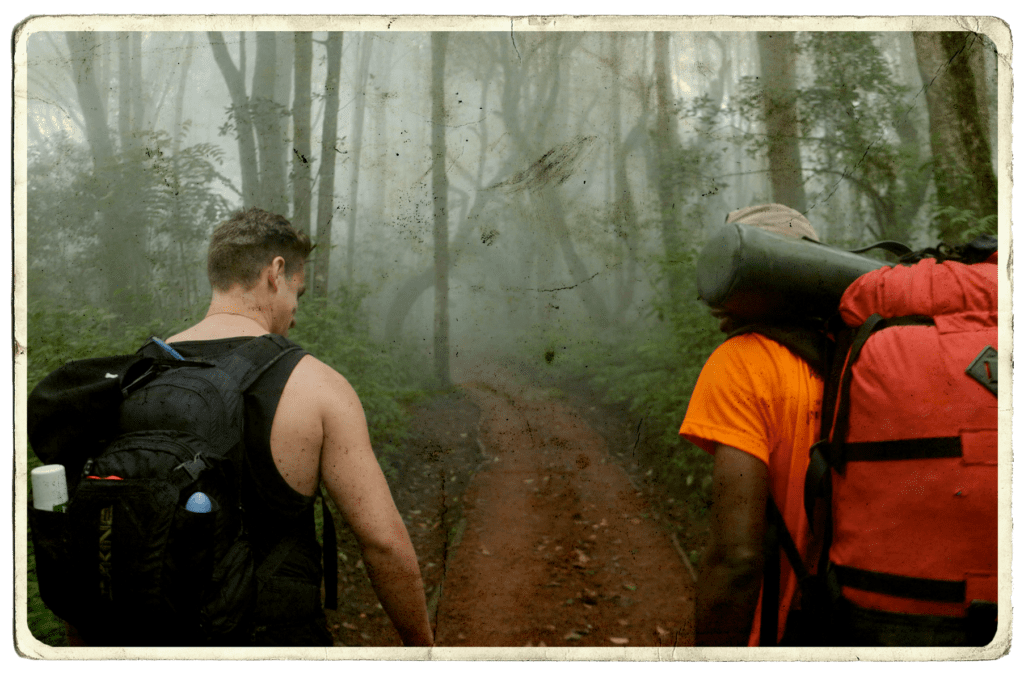 Two adventurers are hiking in the rainforest in Tanzania.